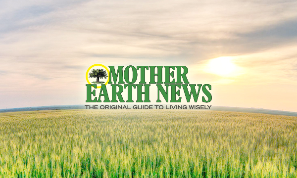 Inexperienced Homes Data, Weblog, & Articles | Mother Earth Data