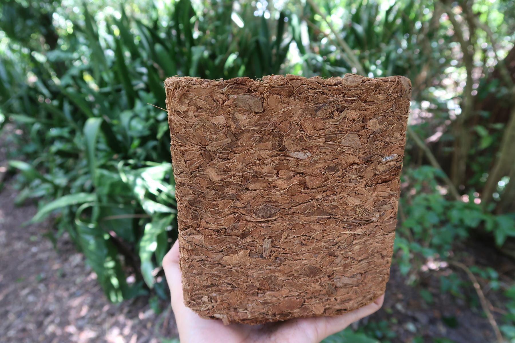 Coconut Coir vs. Peat Moss – Mother Earth Data